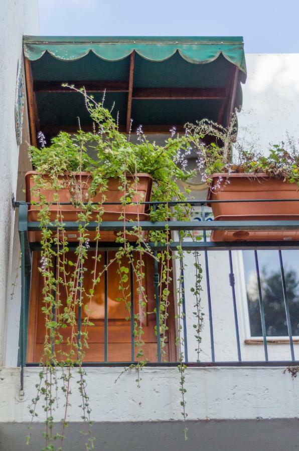 Garden Place Guest Houses Johannesburg Zewnętrze zdjęcie