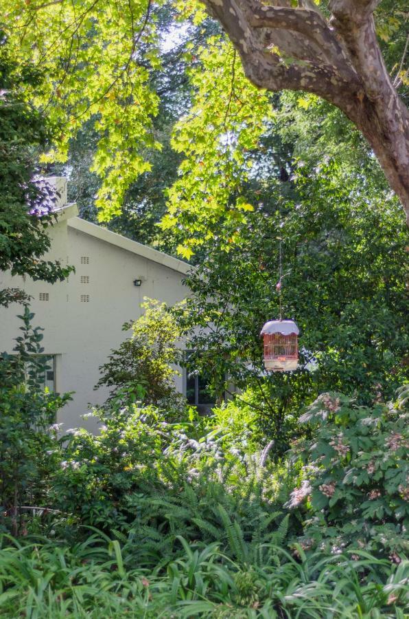 Garden Place Guest Houses Johannesburg Zewnętrze zdjęcie